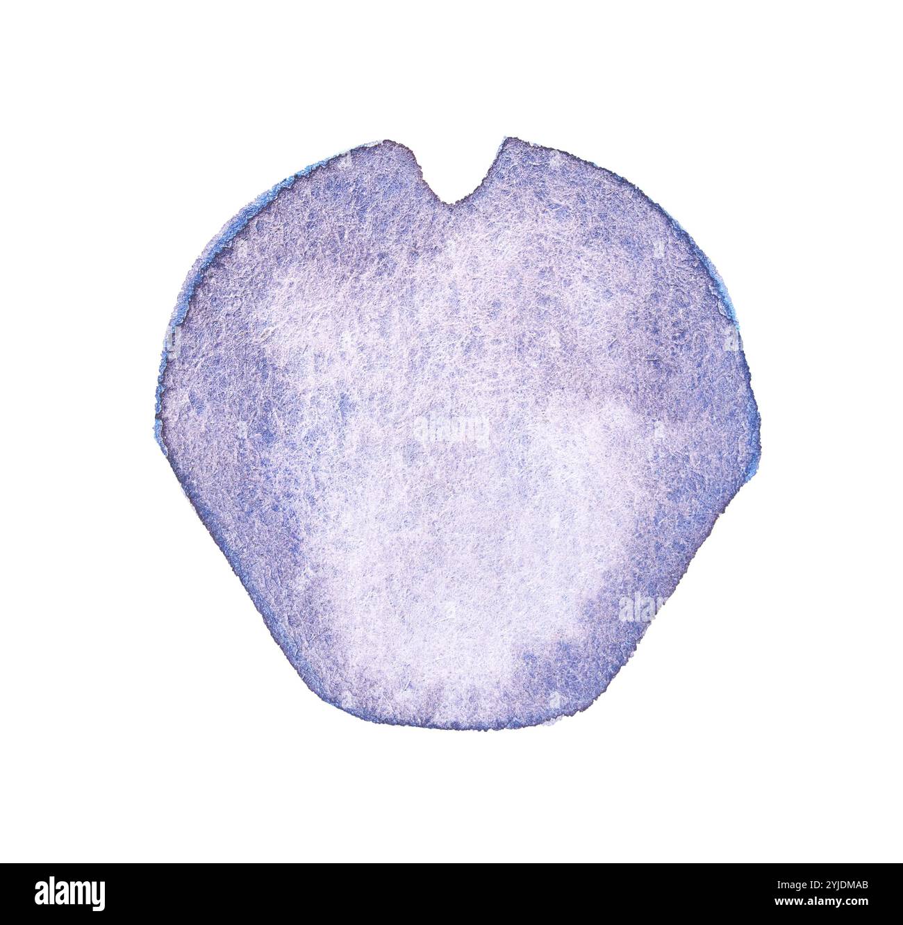 Lettre V. Gros plan de sophora japonica au microscope optique avec teinte bleue et structure arrondie. Banque D'Images