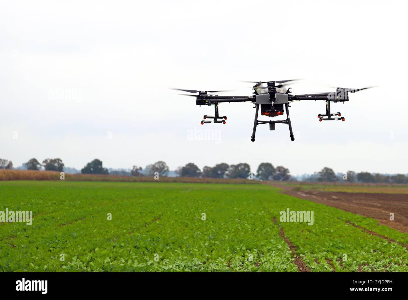 Drone agricole pour pulvériser des pesticides dans les champs de culture. Banque D'Images
