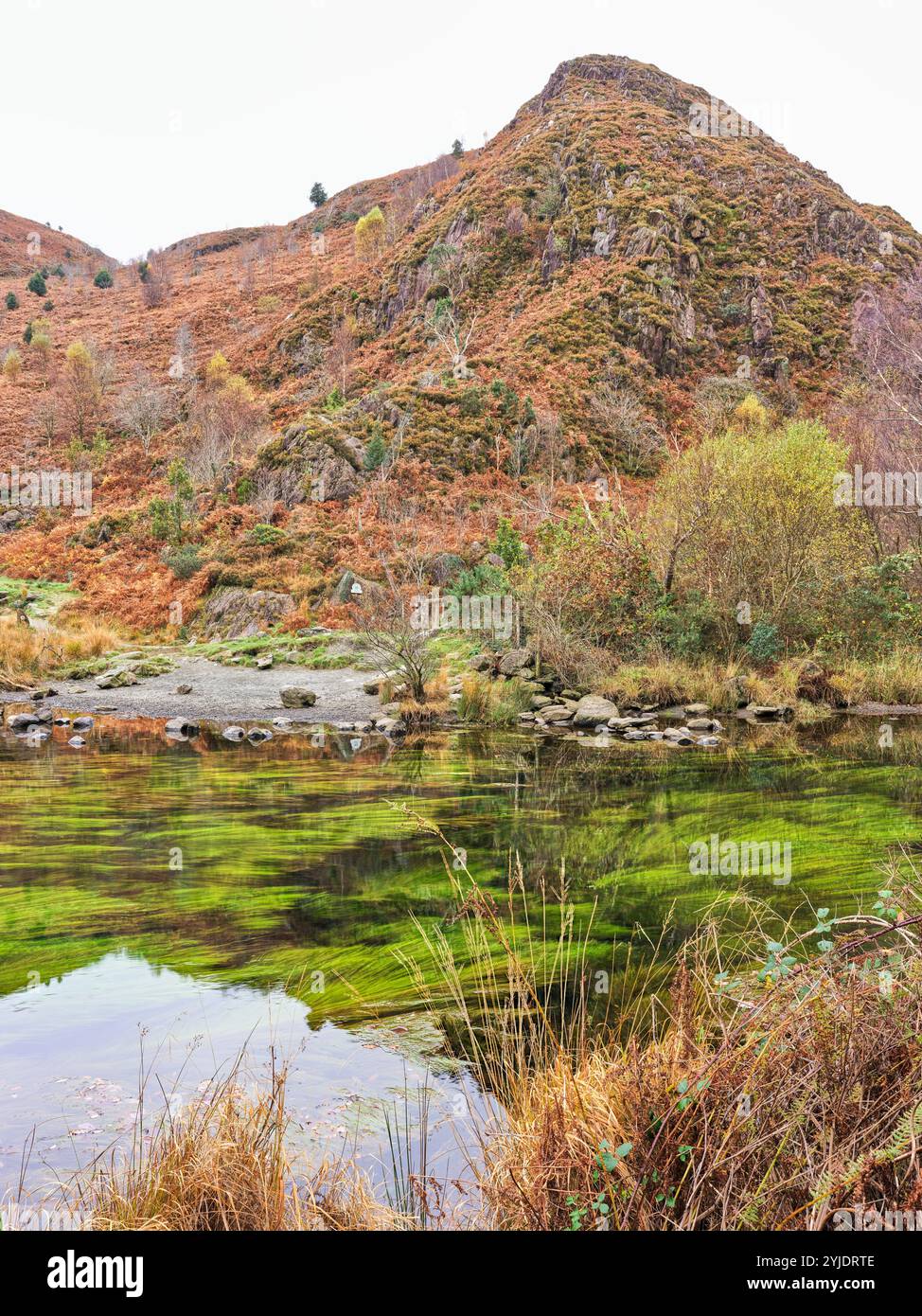 Llyndy ISAF à côté du lac Dinas, Snowdonia, pays de Galles. Banque D'Images