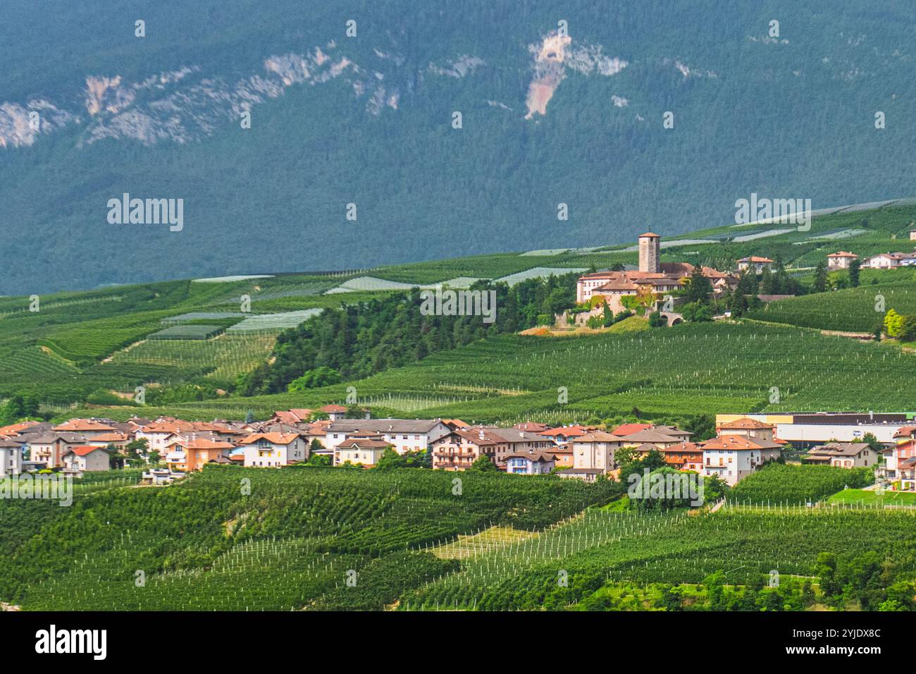 VILLE D'ANAUNIA, ITALIE – 28 AOÛT 2024 : Castel Valer dans le Val di non se dresse majestueusement au milieu des vergers de pommiers et de la verdure luxuriante, mettant en valeur l'an médiéval Banque D'Images