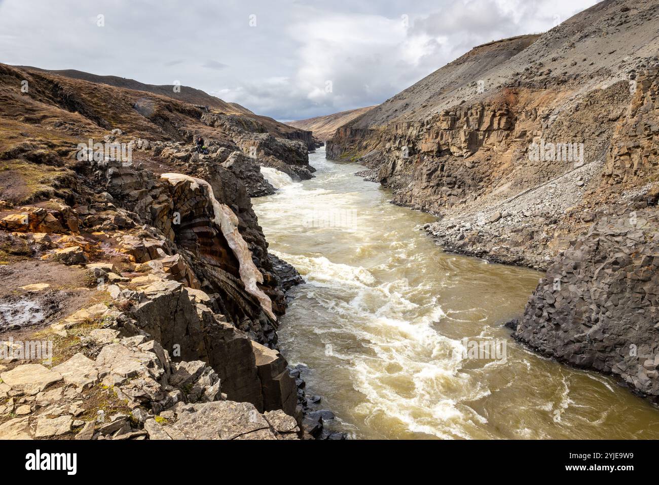 Canyon Studlagil (canyon basalte) vue du ravin avec rivière glaciaire brune et colonnes de basalte verticales, Islande. Banque D'Images