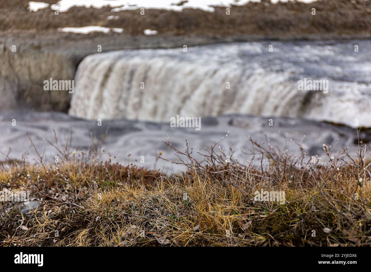 Herbe sèche, plantes et arbustes poussant au bord de la falaise avec cascade Dettifoss en arrière-plan, parc national Vatnajokull dans le nord-est d'Icela Banque D'Images