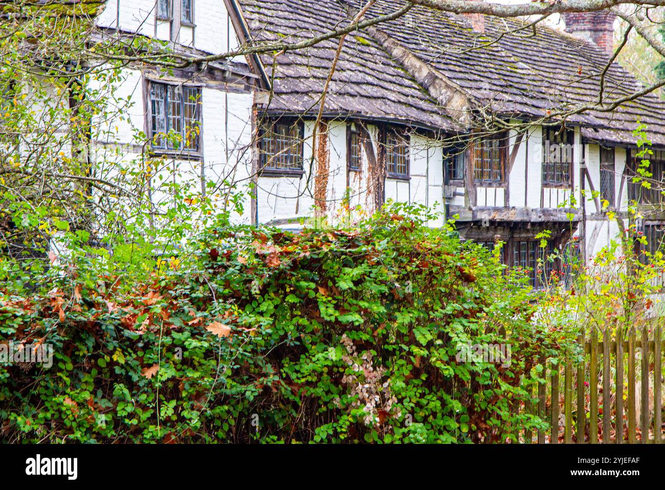 Anciens cottages à demi-poutres dans le cillage de Brockam, Surrey Banque D'Images
