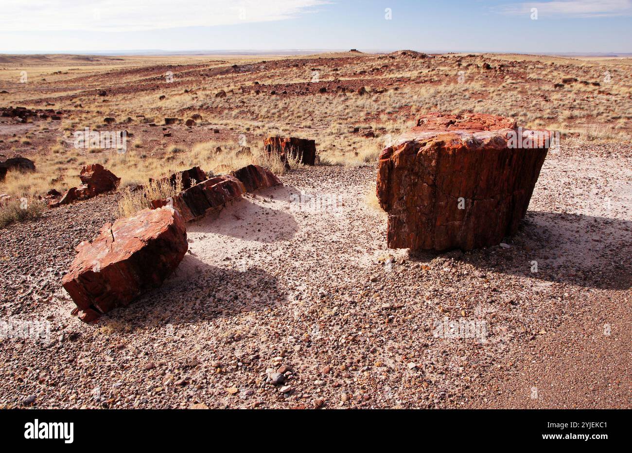 Petrified Forest National Park est un parc national des États-Unis dans le nord-est de l'Arizona., Der Petrified-Forest-Nationalpark ist ein Nationalpark der V. Banque D'Images