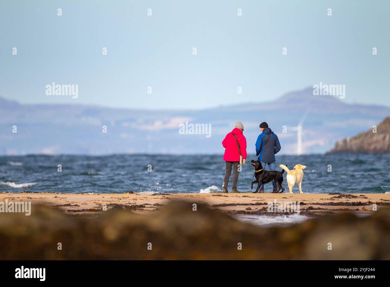 Homme et femme avec deux chiens sur la côte à North Berwick, East Lothian, Écosse, octobre 2024. Banque D'Images