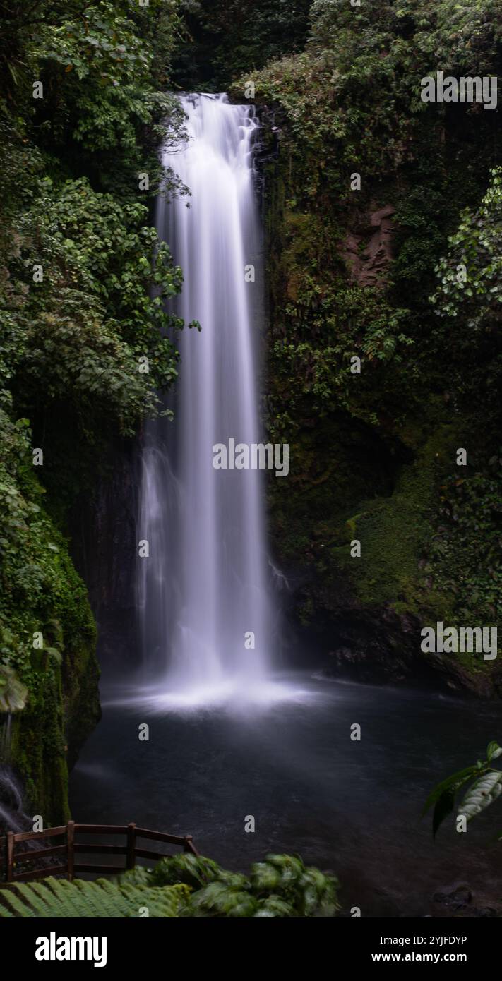 N'allez pas courir après des chutes d'eau Banque D'Images