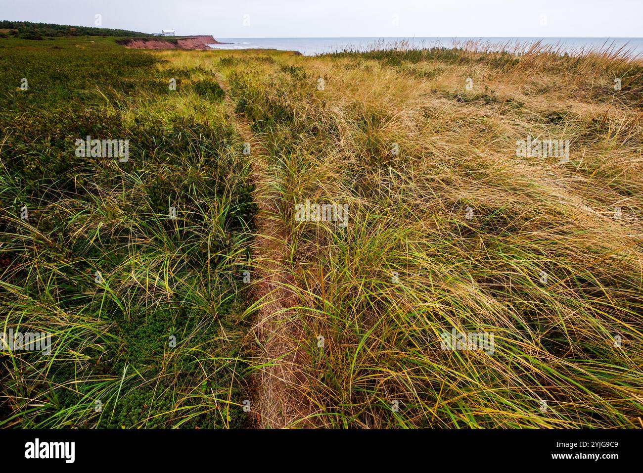 Grande vue panoramique sur la côte de la mer à l'Île-du-Prince-Édouard, Canada, dans les provinces maritimes canadiennes. Banque D'Images