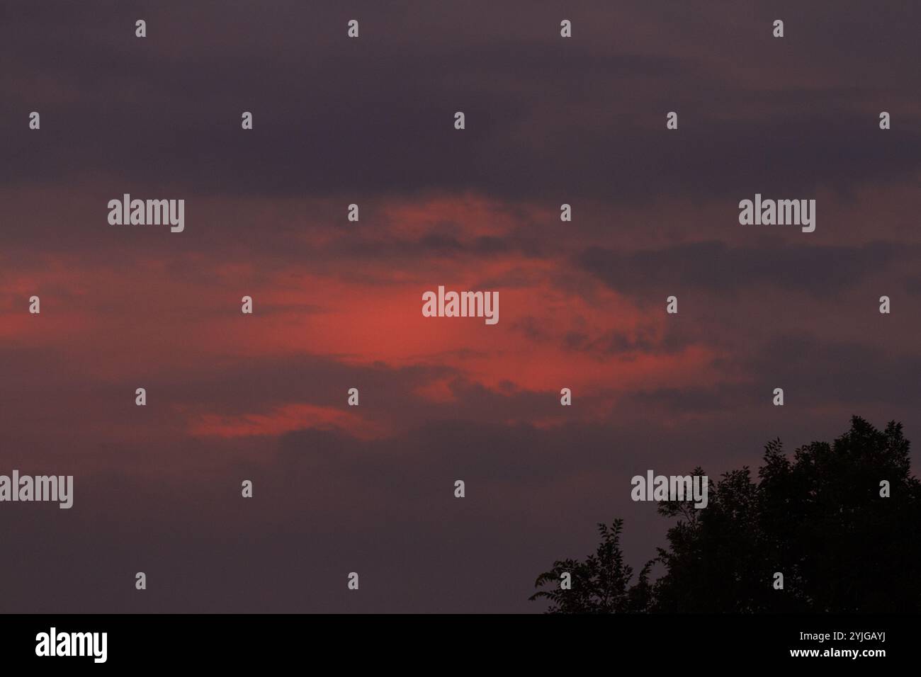 Un ciel nuageux nocturne au-dessus d'arbres en silhouette à Kanagawa, Japon. Banque D'Images