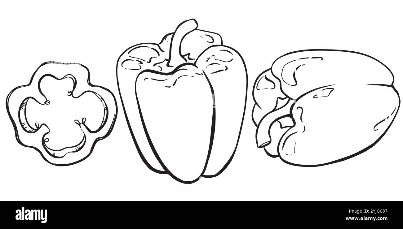 Croquis linéaire de paprika. Ensemble vecteur de poivrons. Dessin à l'encre noire de poivron doux sur fond blanc. Ingrédient épicé de la cuisine mexicaine et indienne. Illustration de Vecteur