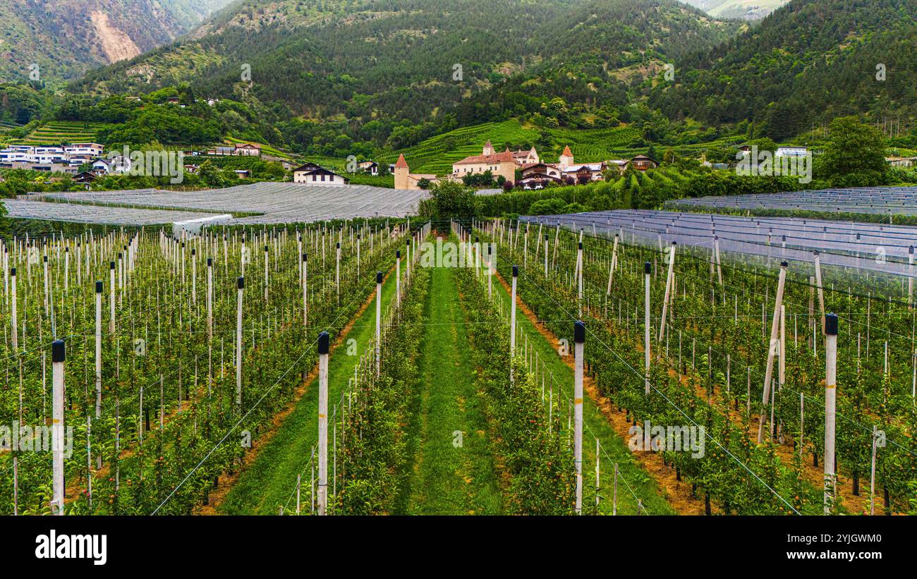 LACETS, ITALIE – 28 AOÛT 2024 : Castel Coldrano surplombe majestueusement les lacets dans le Val Venosta, entouré de vignes et de vergers de pommiers, incarnant le Banque D'Images