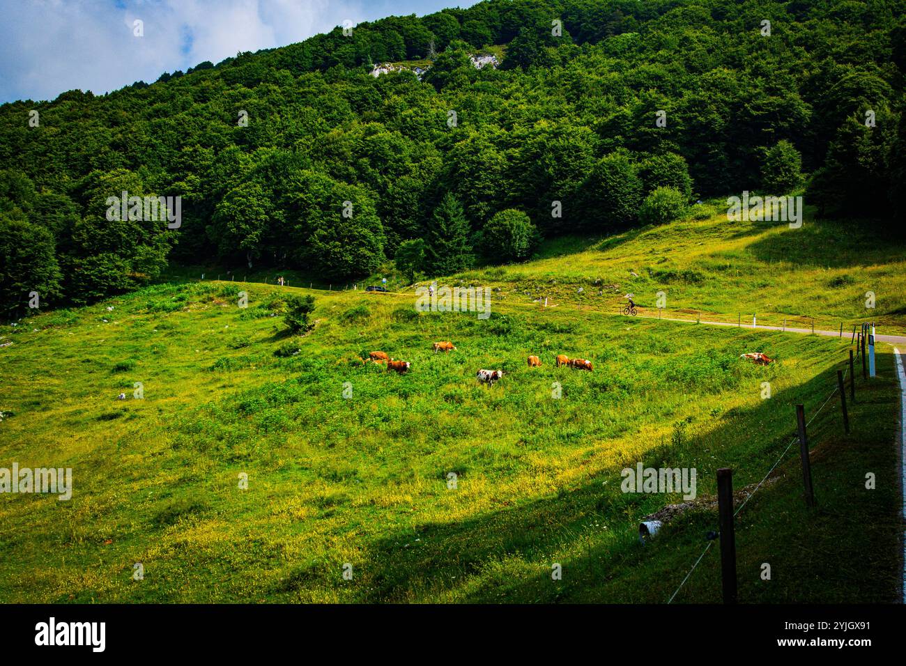 NAGO, ITALIE – 28 AOÛT 2024 : Monte Altissimo offre une vue panoramique sur le lac de Garde et les montagnes environnantes, ce qui en fait une destination populaire pour hik Banque D'Images