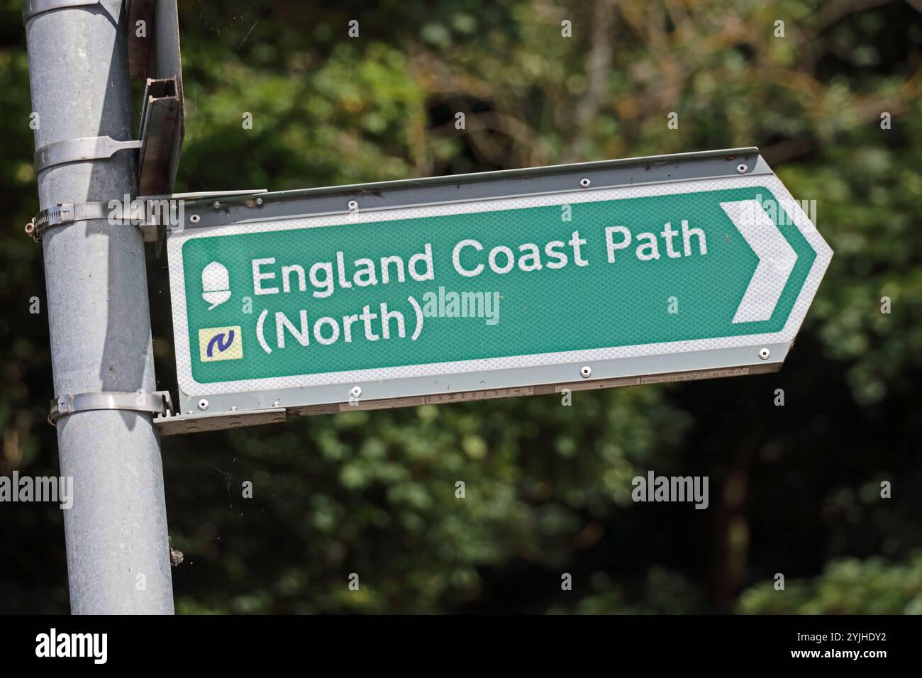 Panneau vert England Coast Path, Warkworth Banque D'Images