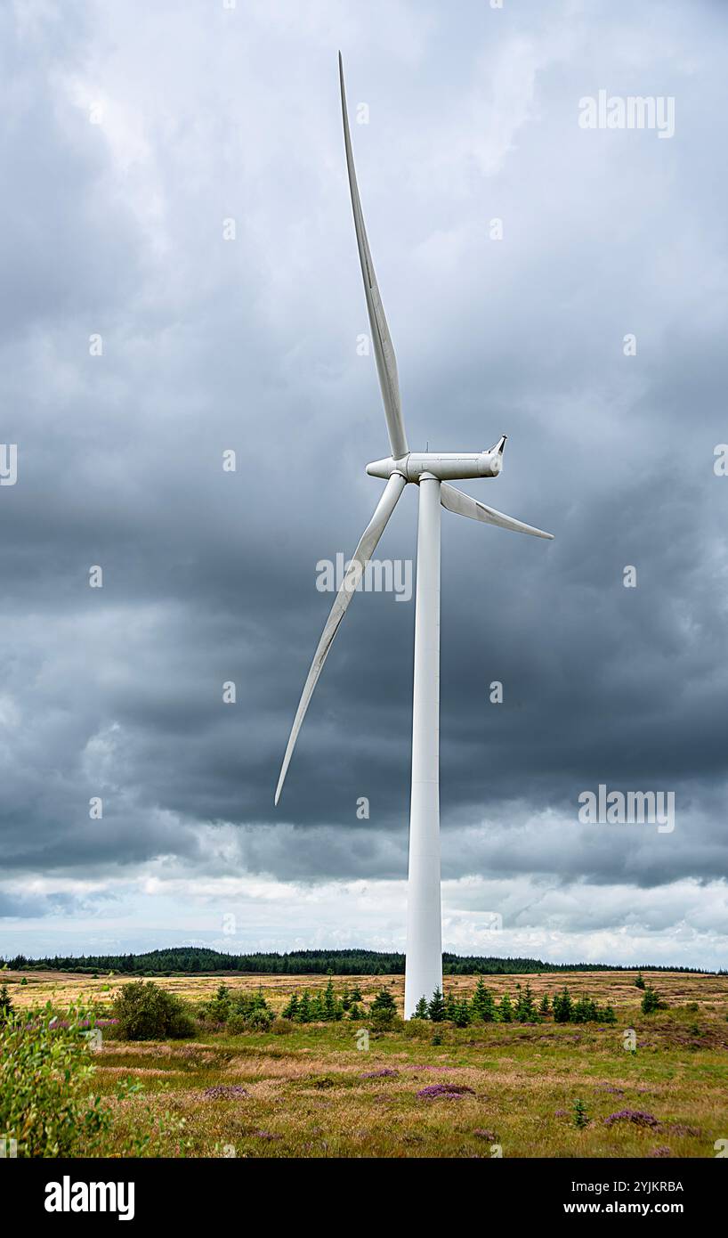 Photographie de paysage d'éolienne ; éolienne ; énergie éolienne ; production d'énergie ; électricité; industrie ; innovation ; énergie verte ; Whitelee Windfarm, SCO Banque D'Images