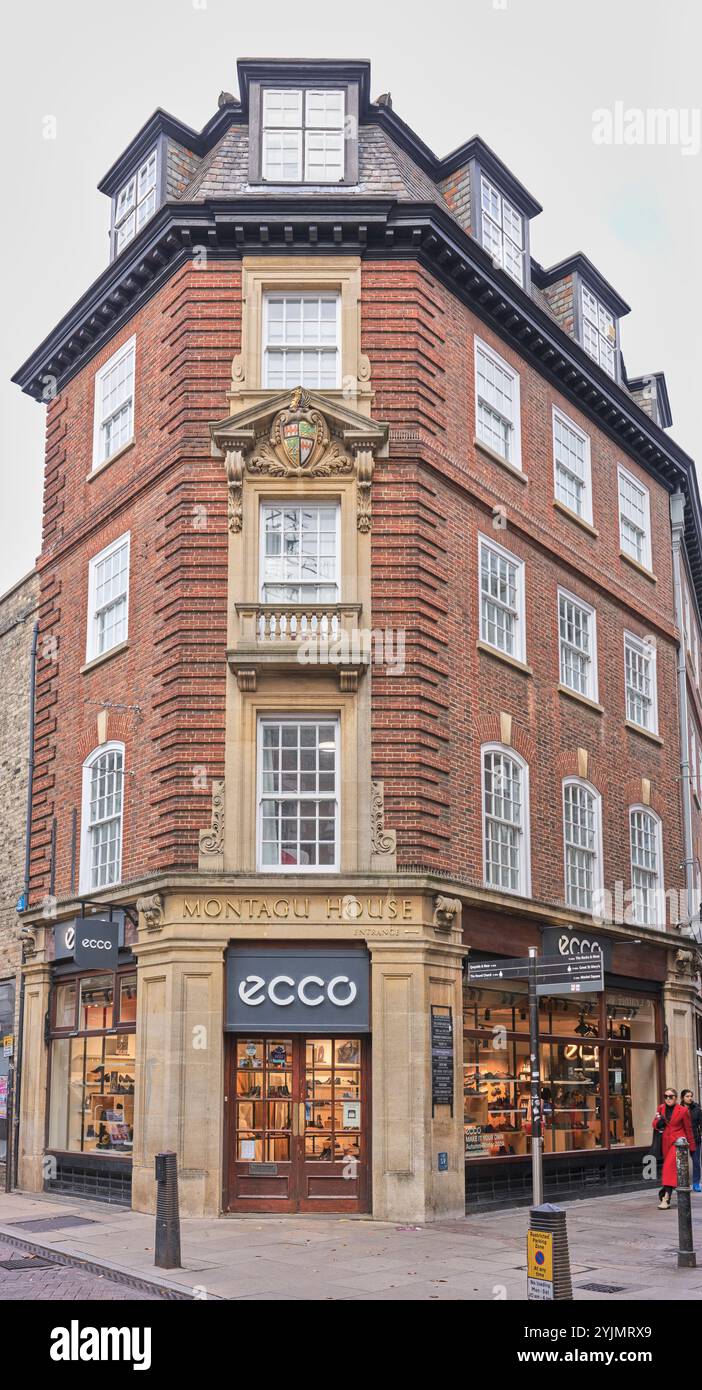 Magasin de chaussures ECCO à Cambridge, Angleterre. Banque D'Images