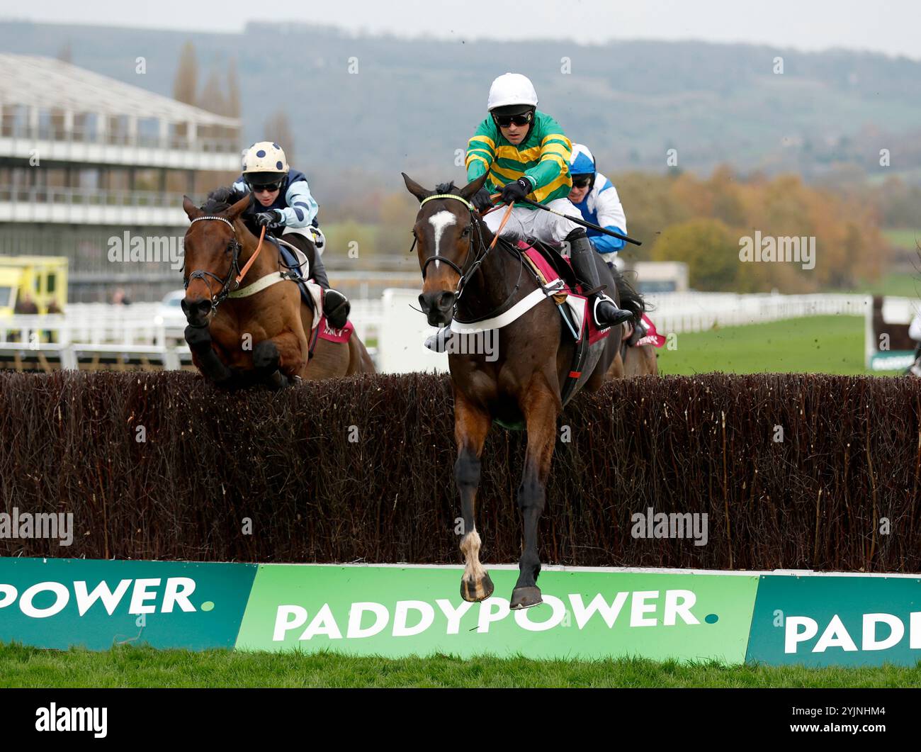 Jonbon monté par Nico de Boinville rentrant à la maison pour gagner la Shloer Chase lors de la Countryside Day à l'hippodrome de Cheltenham. Date de la photo : vendredi 15 novembre 2024. Banque D'Images