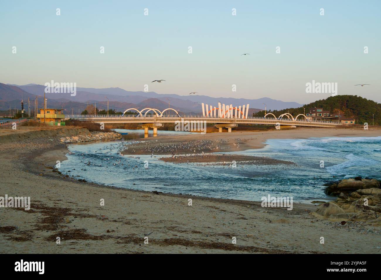 Comté de Goseong, Corée du Sud - 3 novembre 2024 : une vue sereine de la plage de Baekdo avec des oiseaux de mer dispersés et un pont conçu de manière unique en arrière-plan Banque D'Images