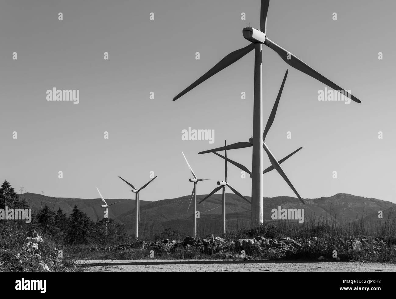 Éoliennes en noir et blanc Banque D'Images