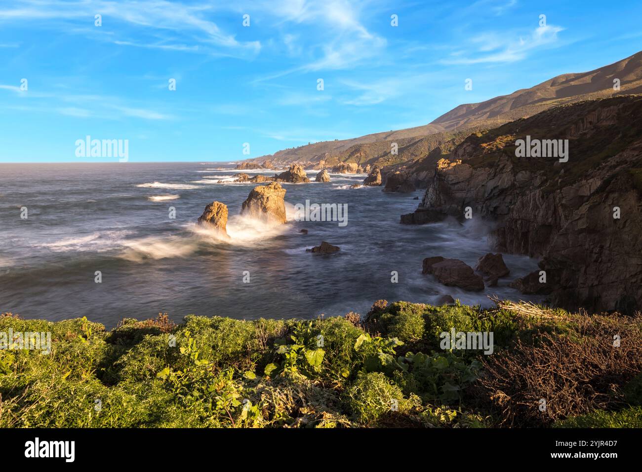 Parc national de Garrapata, côte de Monterey, Californie. Banque D'Images