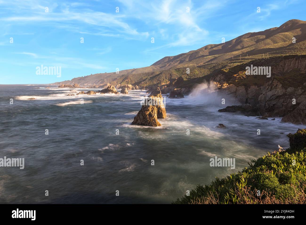 Parc national de Garrapata, côte de Monterey, Californie. Banque D'Images