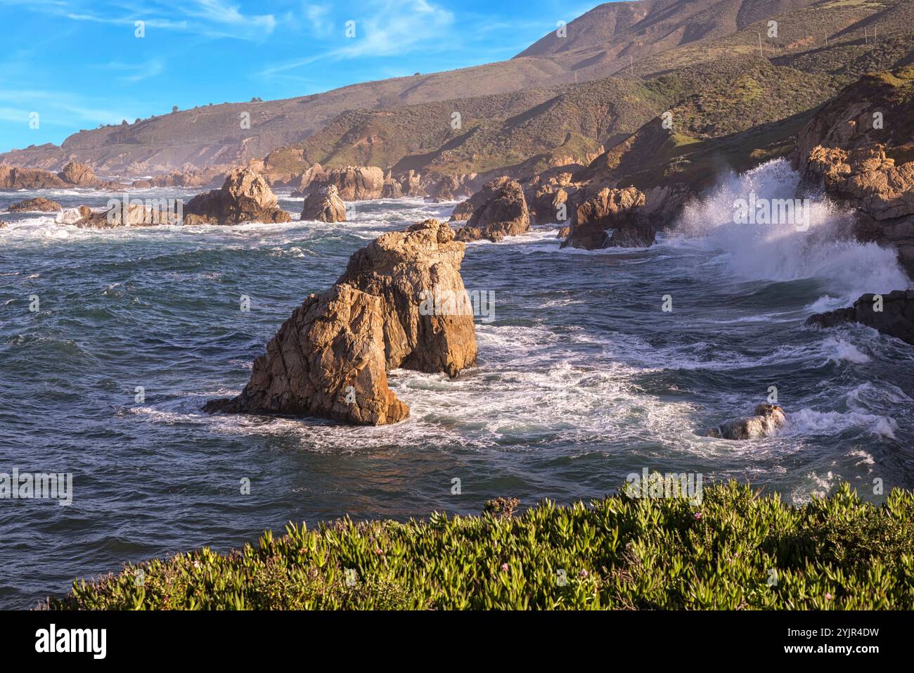 Parc national de Garrapata, côte de Monterey, Californie. Banque D'Images
