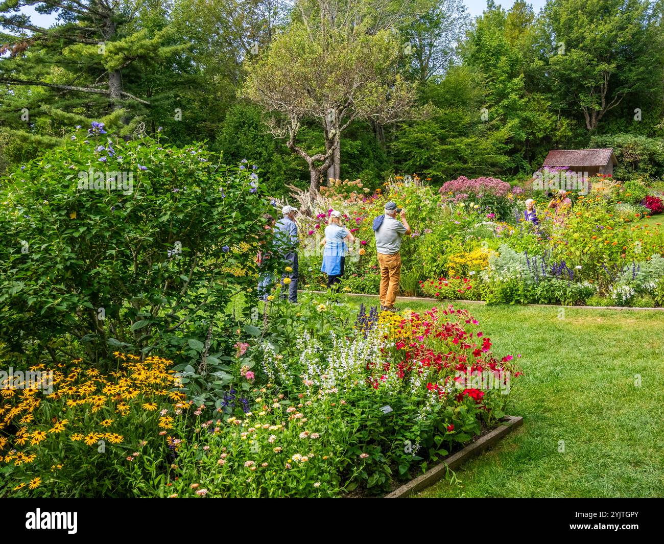 Automne dans le jardin de Thuya un jardin herbacé semi-formel sur Mount Desert Island dans le nord-est de Harbor Maine USA Banque D'Images