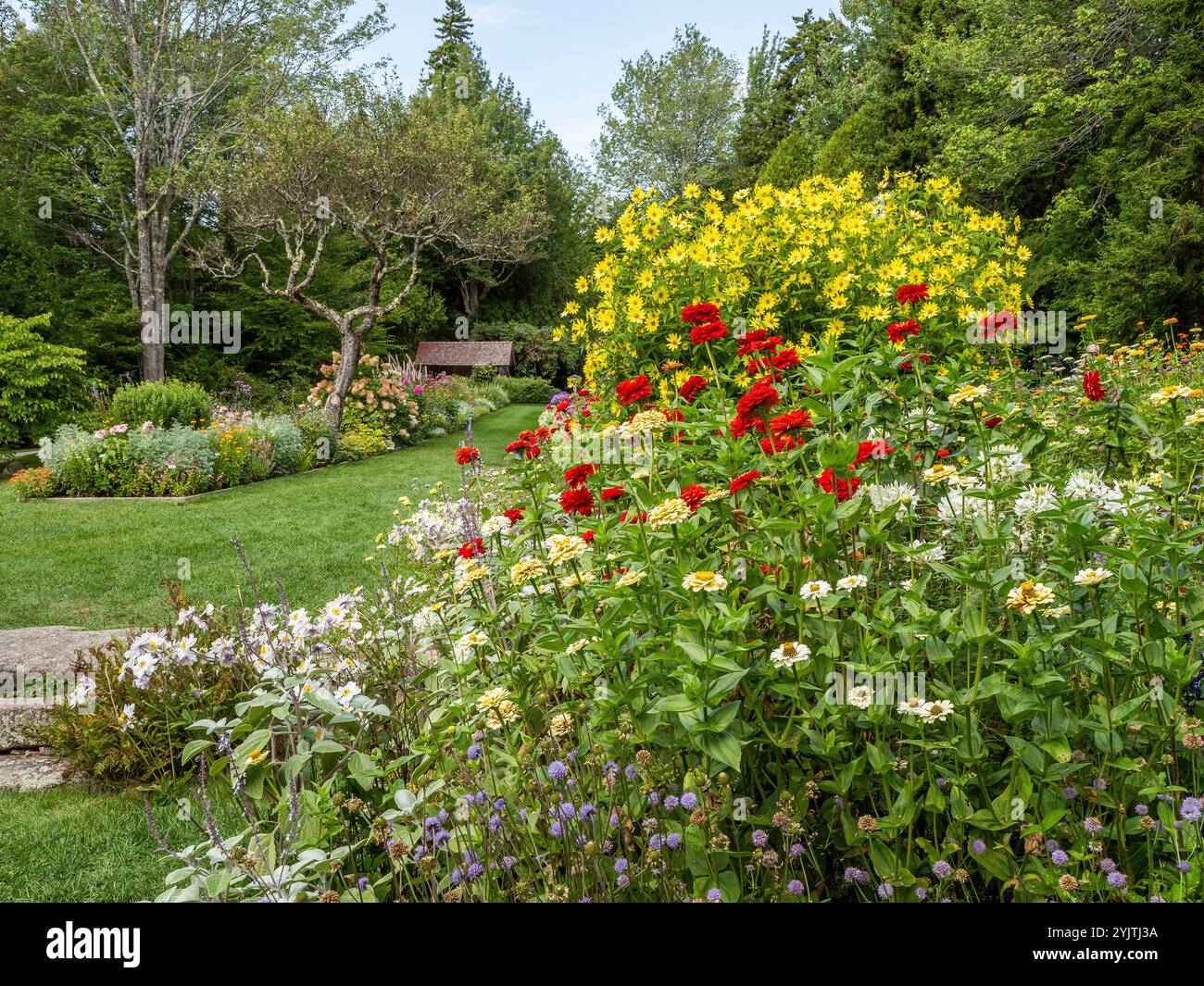 Automne dans le jardin de Thuya un jardin herbacé semi-formel sur Mount Desert Island dans le nord-est de Harbor Maine USA Banque D'Images