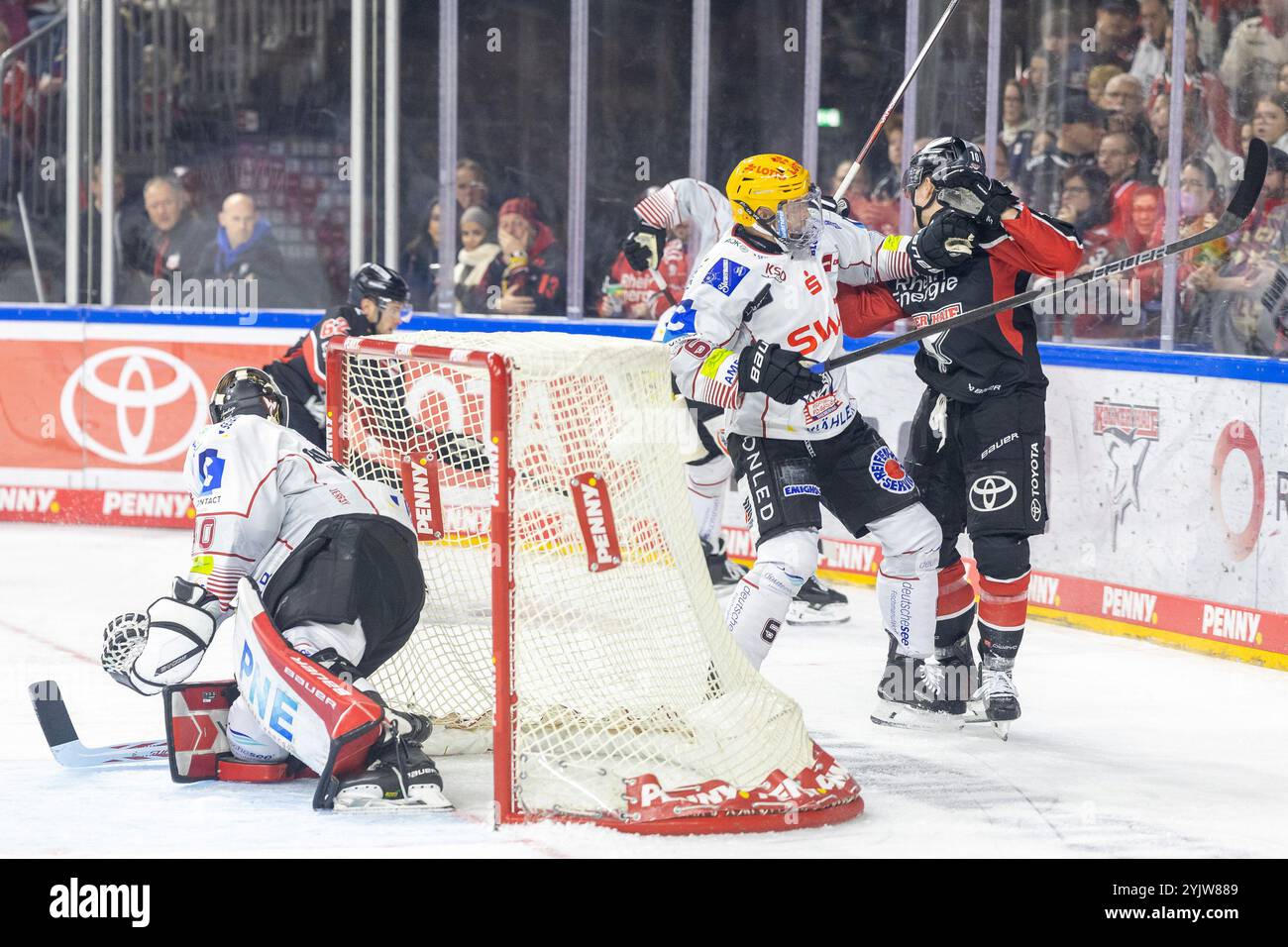 Kristers Gudļevskis (Pinguins Bremerhaven, #30, Anders Groenlund (Pinguins Bremerhaven, #06) Koelner haie v. Pinguins Bremerhaven, Eishockey, Penny DEL, 16. Spieltag, 2024/2025, 15.11.2024 Foto : Eibner-Pressefoto/G. Wingender Banque D'Images