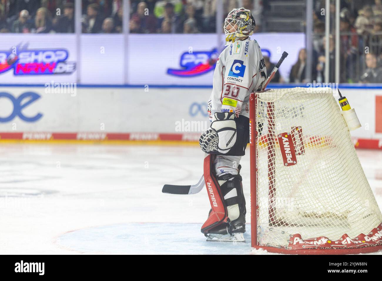 Kristers Gudļevskis (Pinguins Bremerhaven, #30) beobachtet zufrieden das Spiel seiner Mannschaft Koelner haie v. Pinguins Bremerhaven, Eishockey, Penny DEL, 16. Spieltag, 2024/2025, 15.11.2024 Foto : Eibner-Pressefoto/G. Wingender Banque D'Images