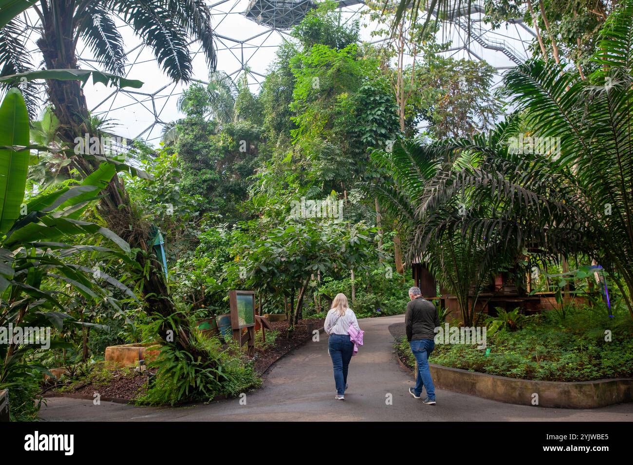 Les gens marchent dans le biome de la forêt tropicale, qui fait partie du complexe de serres multiples de Grimshaw Architects au projet Eden à Cornwall Banque D'Images