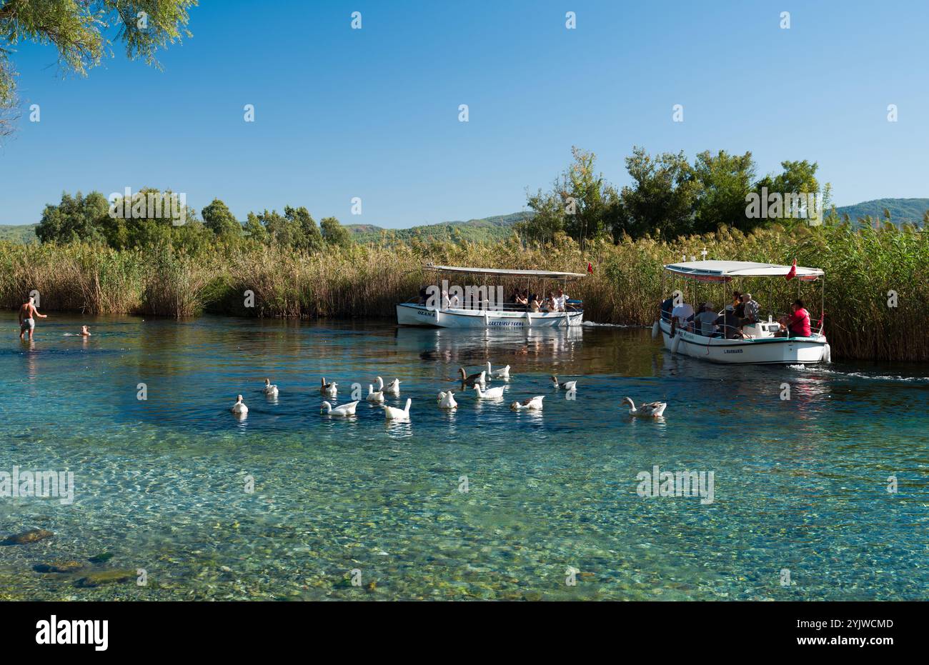 Ula, Mugla, Turquie - 1er octobre 2024 : rivière Akyaka Azmak. Excursion en bateau sur la rivière aux couleurs turquoise. Akyaka est un centre touristique populaire en Turquie. Banque D'Images