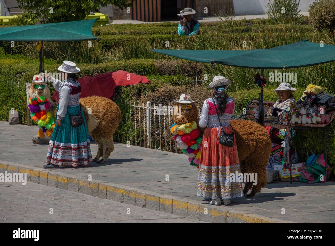 Femmes avec des alpagas habillés, excursion d'une journée à Colca Canyon Banque D'Images