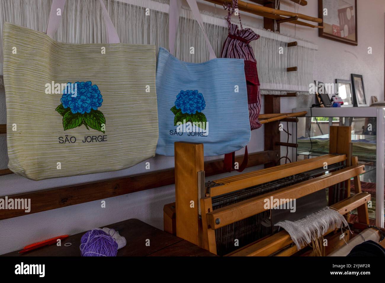 Nichée dans le charmant village de Faja dos Vimes, l'île de Sao Jorge, aux Açores, est la seule plantation de café d'Europe. Banque D'Images