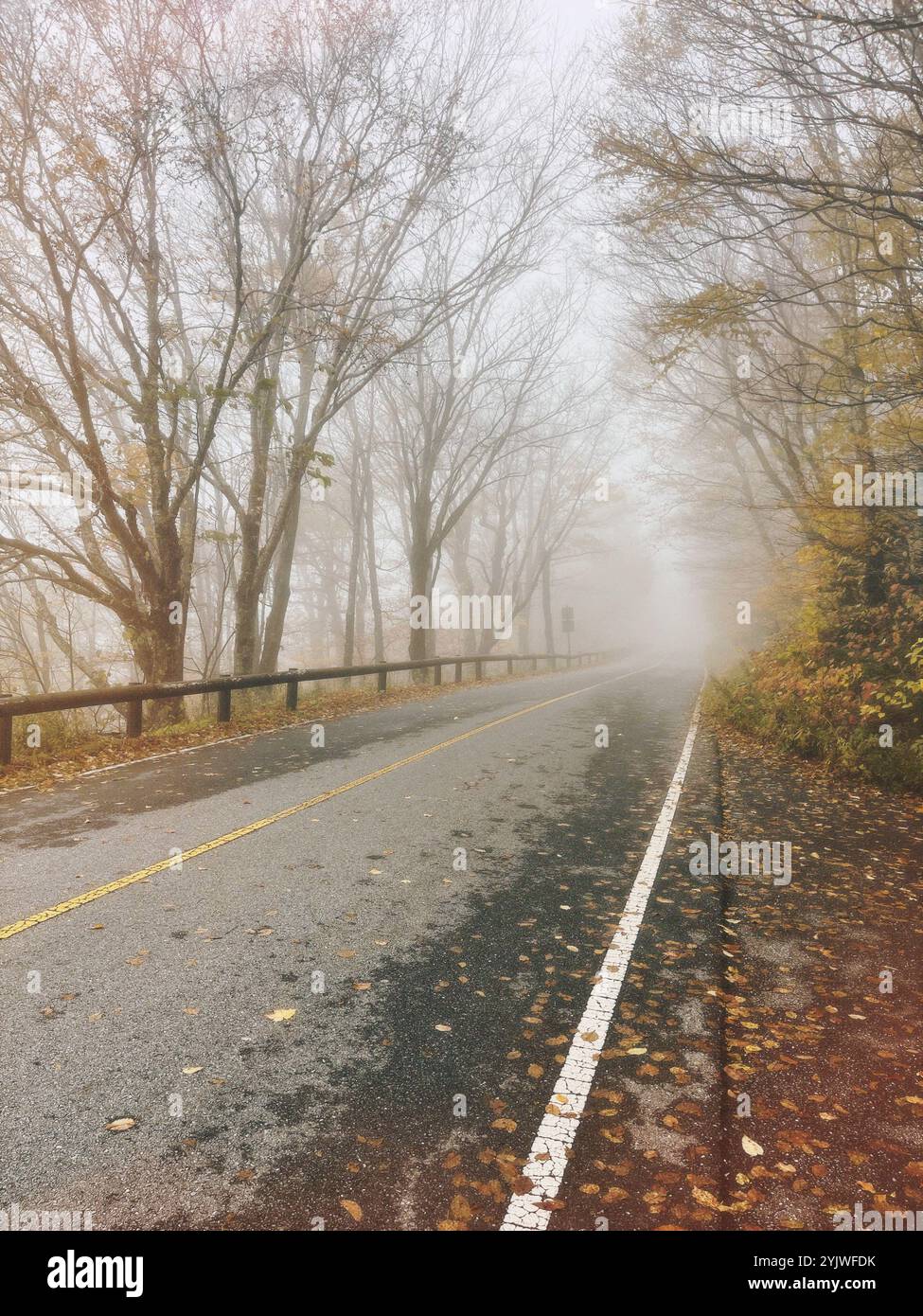 Conduire à travers les montagnes brouillard matinal - Image de stock capturée avec un smartphone
