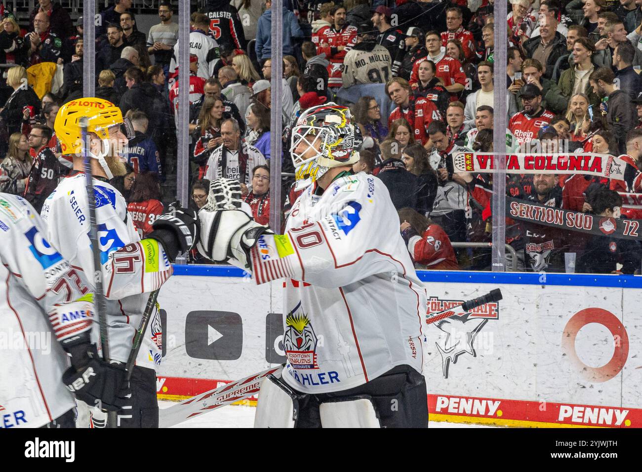 Nicholas Jensen (Pinguins Bremerhaven, #48) gratuliert Kristers Gudļevskis (Pinguins Bremerhaven, #30) zu seiner Leistung nach dem SIEG gegen die Koelner haie Koelner haie v. Pinguins Bremerhaven, Eishockey, Penny DEL, 16. Spieltag, 2024/2025, 15.11.2024 Foto : Eibner-Pressefoto/G. Wingender Banque D'Images