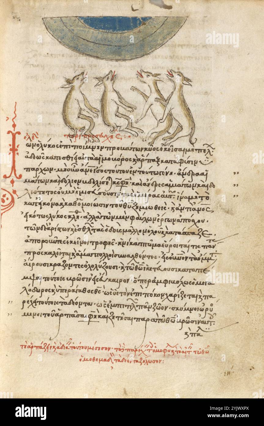 Quatre loups, 1510-1520. Le Physiologus est un texte didactique chrétien écrit ou compilé en grec par un auteur inconnu à Alexandrie, traditionnellement daté du IIe siècle de notre ère. Il se compose de descriptions d'animaux, d'oiseaux et de créatures fantastiques, parfois de pierres et de plantes, pourvues d'un contenu moral. Chaque animal est décrit, et une anecdote suit, à partir de laquelle les qualités morales et symboliques de l'animal sont dérivées. Banque D'Images Quatre loups, 1510-1520. Le Physiologus est un texte didactique chrétien écrit ou compilé en grec par un auteur inconnu à Alexandrie, traditionnellement daté du IIe siècle de notre ère. Il se compose de descriptions d'animaux, d'oiseaux et de créatures fantastiques, parfois de pierres et de plantes, pourvues d'un contenu moral. Chaque animal est décrit, et une anecdote suit, à partir de laquelle les qualités morales et symboliques de l'animal sont dérivées. Banque D'Images