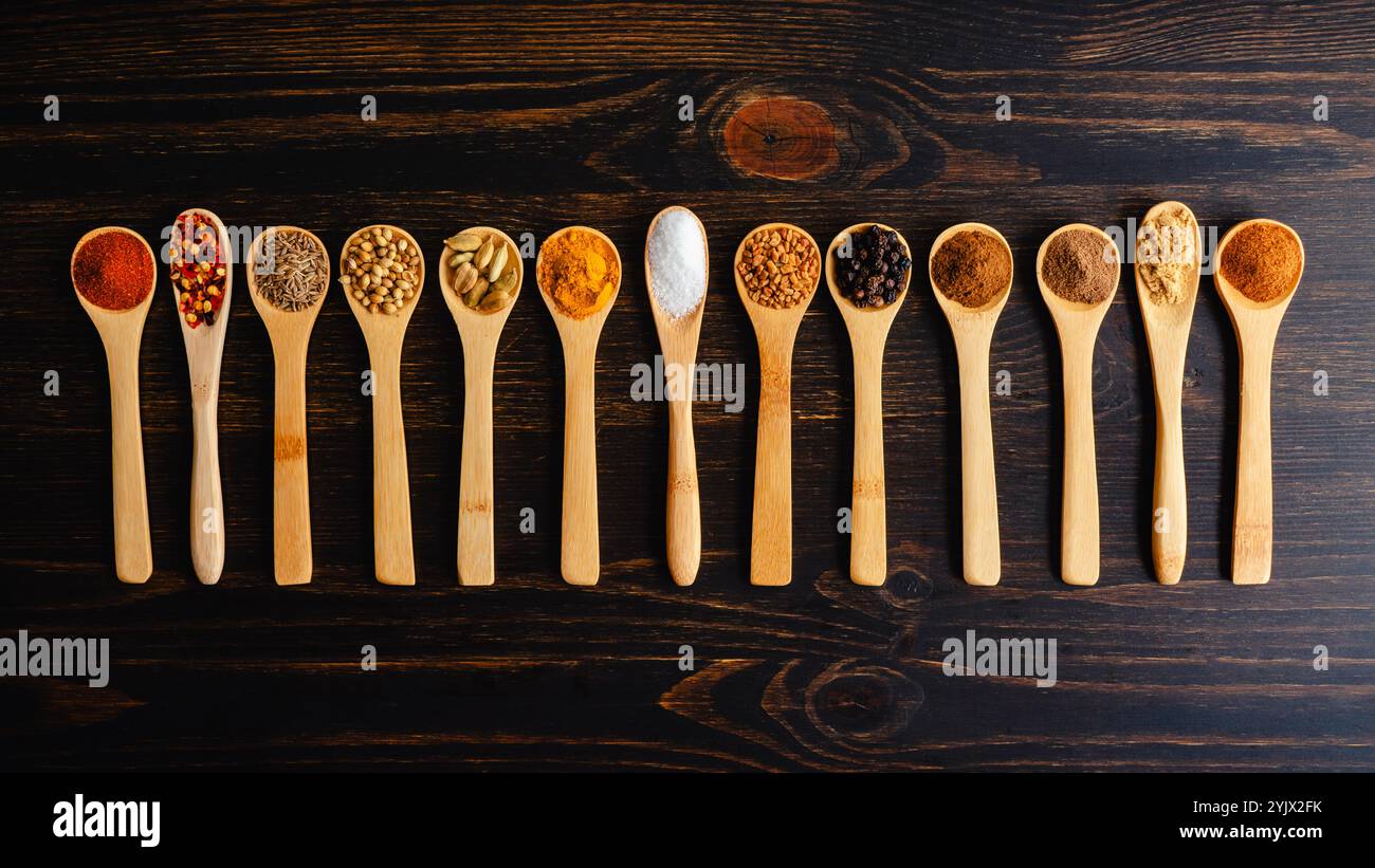 Berbere Spice Blend ingrédients en cuillères en bois : herbes et épices pour mélange d'épices Berbere éthiopiennes dans de petites cuillères en bois disposées en rangée Banque D'Images