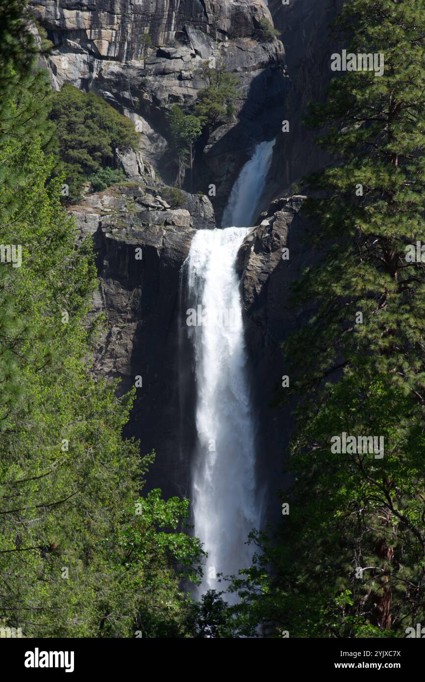 Une vue rapprochée des chutes de Yosemite du milieu et du bas au printemps avec de l'eau se précipitant sur les chutes. Banque D'Images