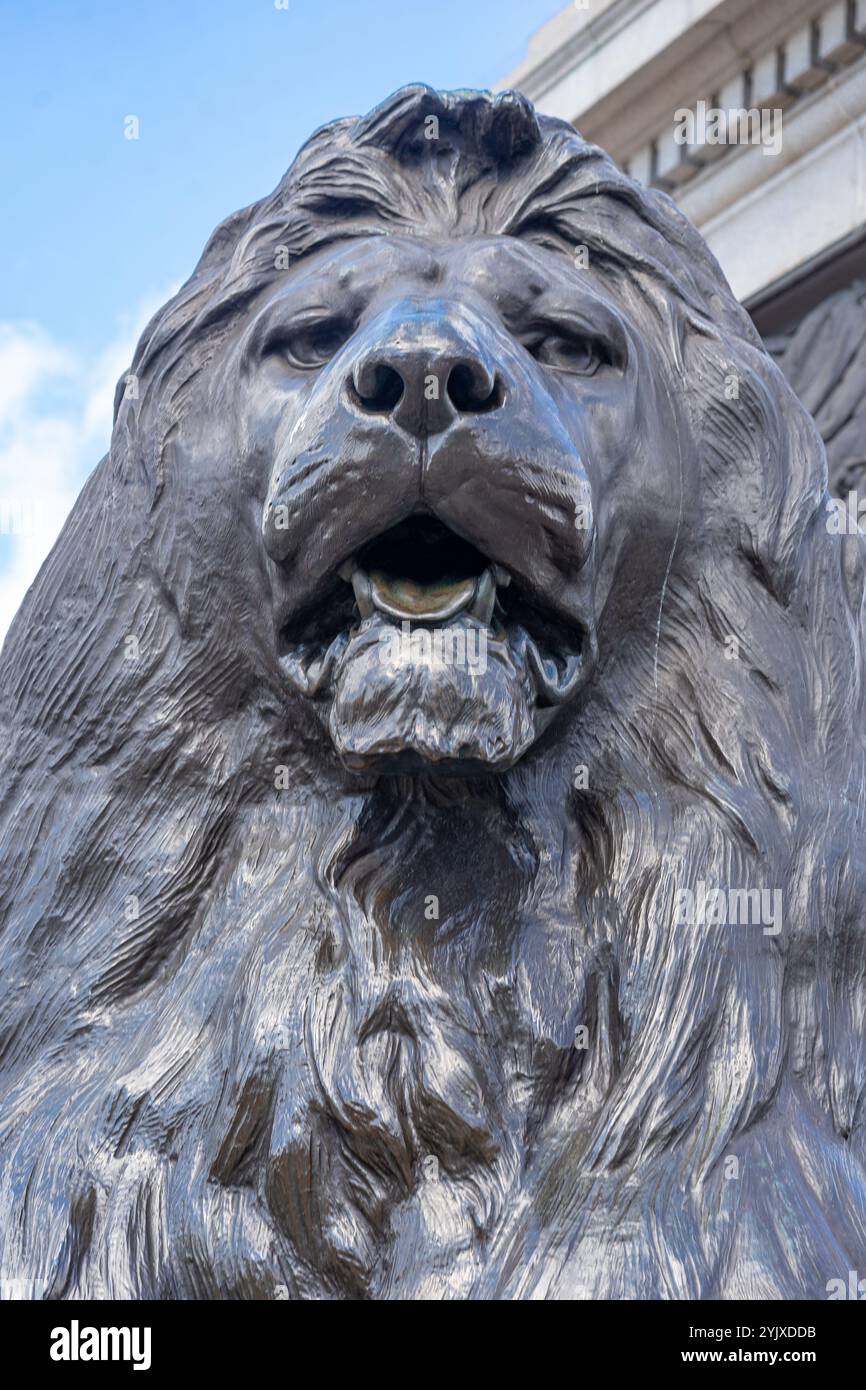 Portrait d'une statue en pierre noire représentant un lion, Londres. Banque D'Images
