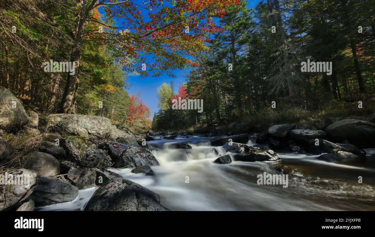 rivière qui coule entre les rochers au milieu de la forêt. fond d'écran, vue horizontale 16:9 image 16:9, fond d'écran 16:9, format 16:9 Banque D'Images