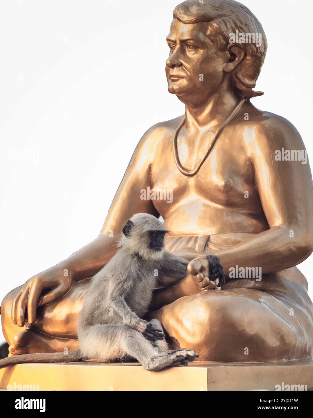 Un singe est assis à côté d'une statue sereine, tenant sa main dans un moment réconfortant qui capture l'interaction entre la faune et l'art, symbolisant ha Banque D'Images