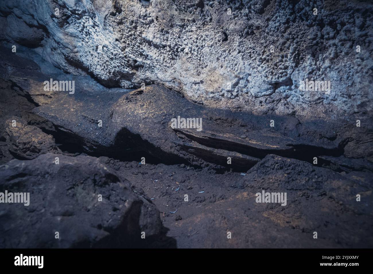 Une pierre dans la grotte Bukit Buntu Kesu Tana Toraja a la forme d'une tête de crocodile Banque D'Images