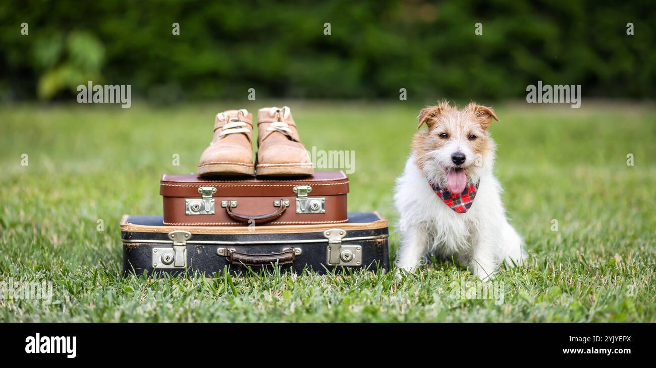Chien haletant heureux assis avec des bagages, hôtel pour animaux de compagnie, voyage ou bannière de vacances. Banque D'Images