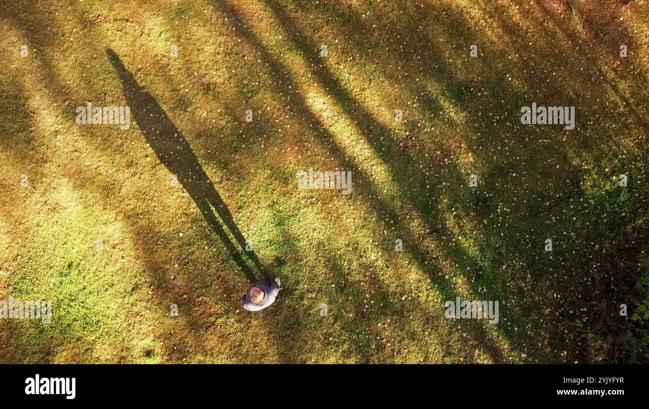 Dans le site forestier, un homme d'en haut dans son ombre, la nature dans la période d'automne Banque D'Images