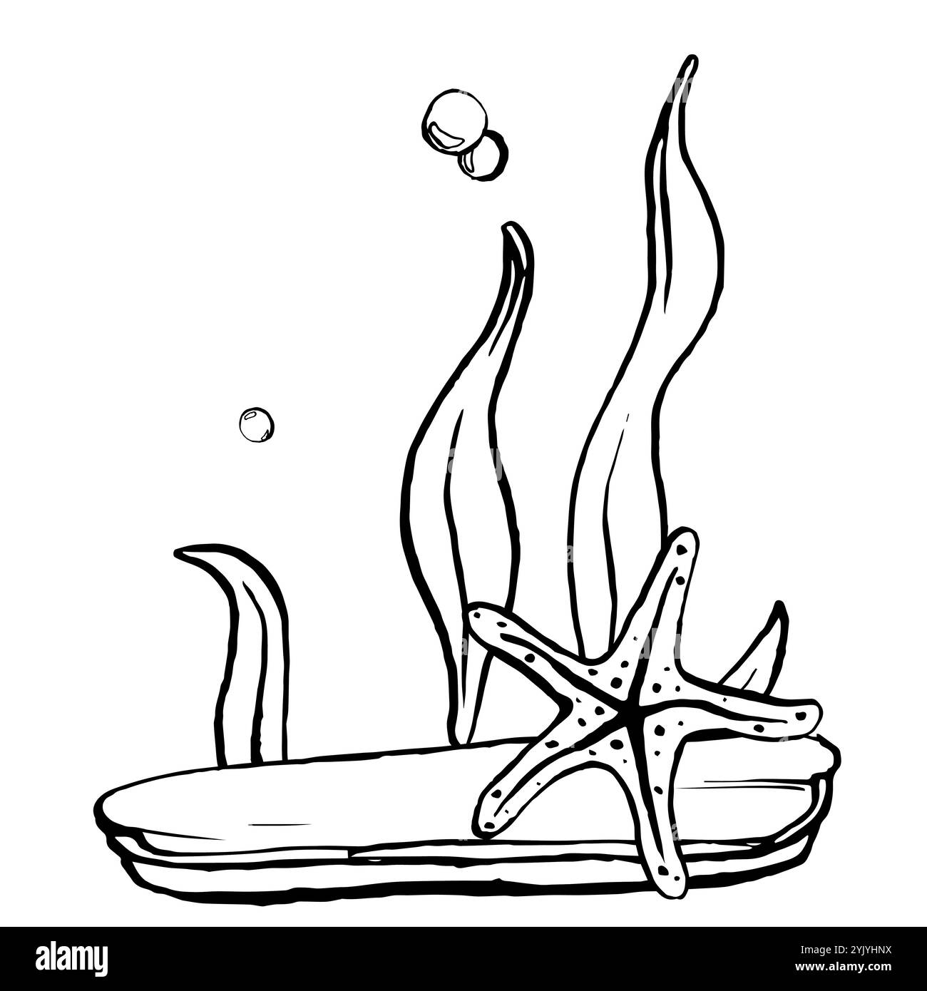 Vecteur d'esquisse étoile de mer. Une illustration en noir et blanc d'animaux marins sous-marins. Paysage marin. Étoile marine monochrome Outline peinte par des encres noires Illustration de Vecteur