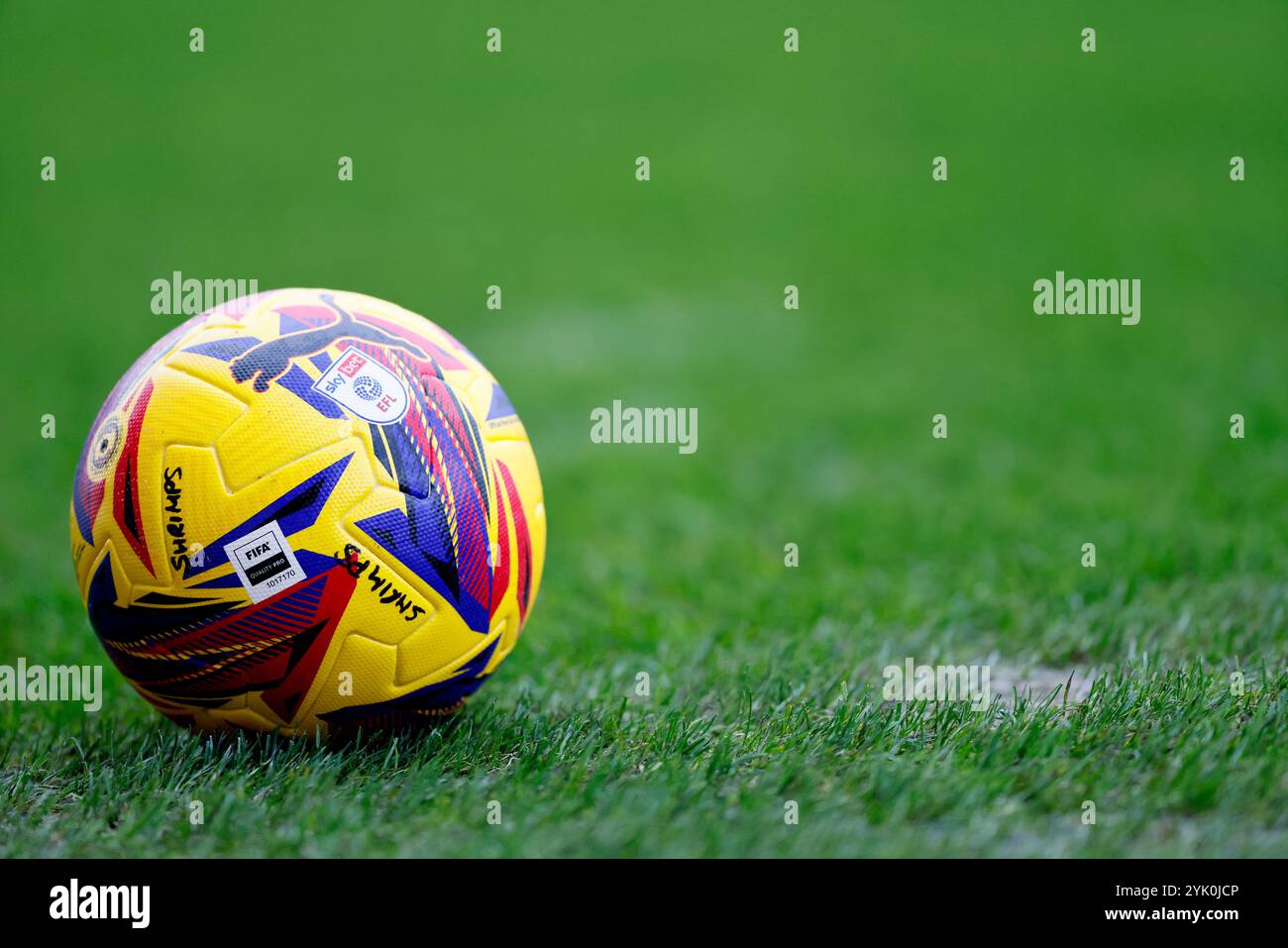 Un ballon de football EFL sur le terrain avant le match de Sky Bet League Two au Mazuma Mobile Stadium, Morecambe. Date de la photo : samedi 16 novembre 2024. Banque D'Images