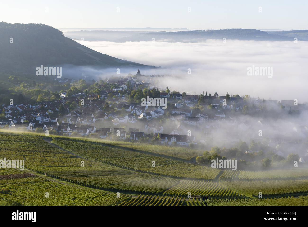 Un village se trouve dans la brume matinale en face d'une colline, avec une église s'élevant de la brume, vignobles, Korb-Steinreinach, vallée de Rems, Baden-Wuerttem Banque D'Images