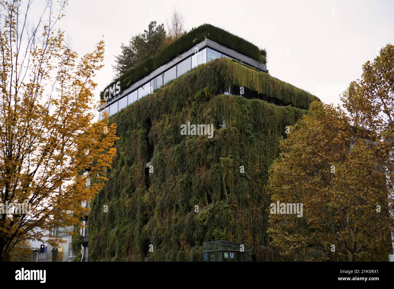 Écologisation de façade climatiquement neutre sur le nouveau bâtiment, immeuble de bureaux de CMS Hasche sigle, Calwer Strasse, Stuttgart, automne, coloration d'automne, Baden- Banque D'Images