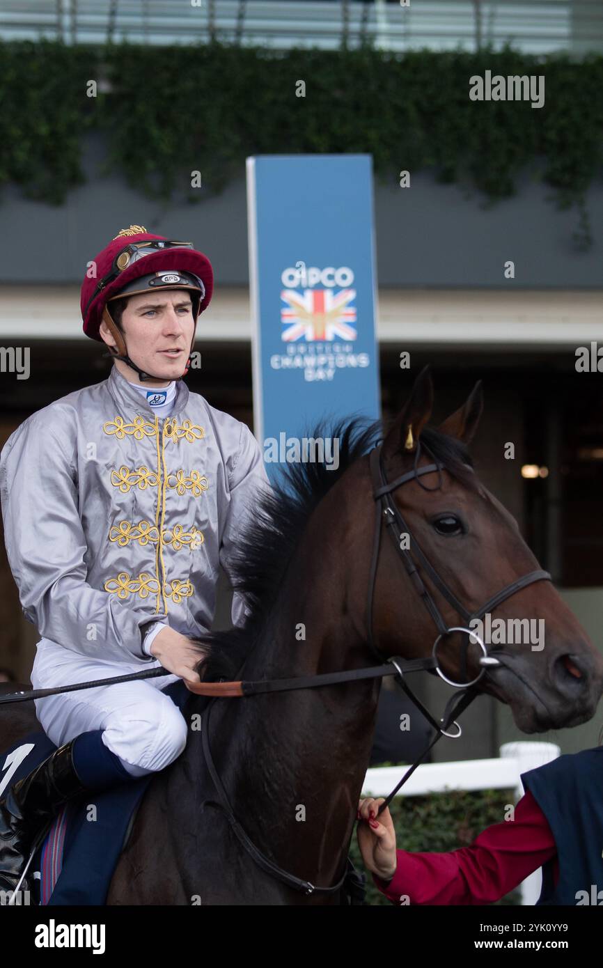 Ascot, Berkshire, Royaume-Uni. 19 octobre 2024. DOHA piloté par le jockey Hector Crouch se dirige sur le circuit pour les QIPCO British Champions Fillies & Mares Stakes (classe 1) (Groupe 1) (British Champions Series) au QIPCO British Champions Day à Ascot Racecourse dans le Berkshire. Crédit : Maureen McLean/Alamy Live News Banque D'Images