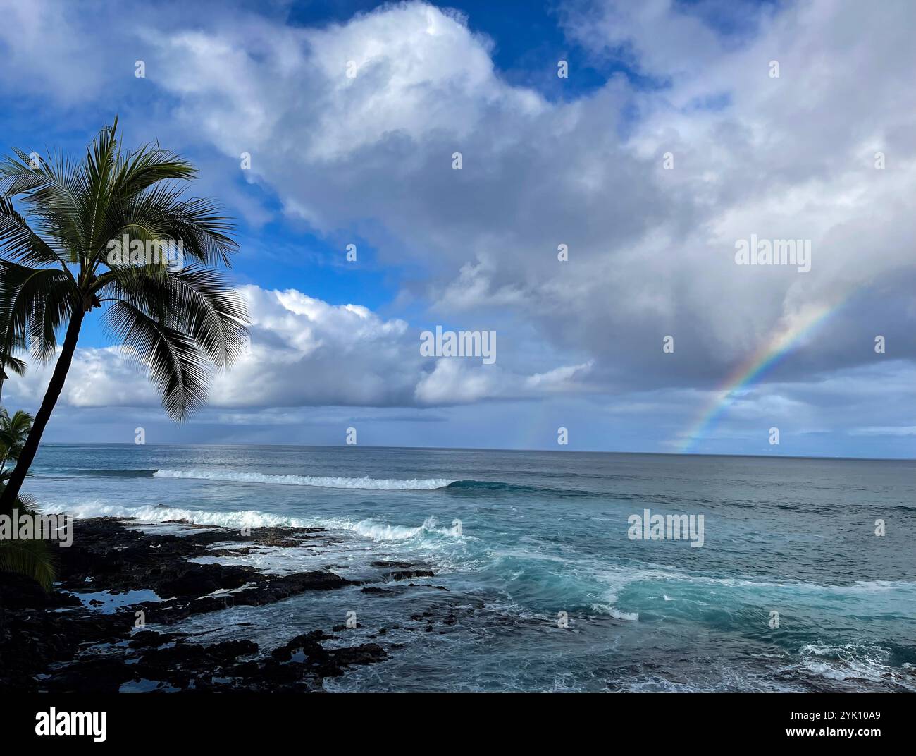 Au large de la côte de Kailua Kona sur la Grande île d'Hawaï, il y a un arc-en-ciel qui s'étend de l'horizon de l'océan dans les nuages. Les palmiers se balancent - Image de stock capturée avec un smartphone