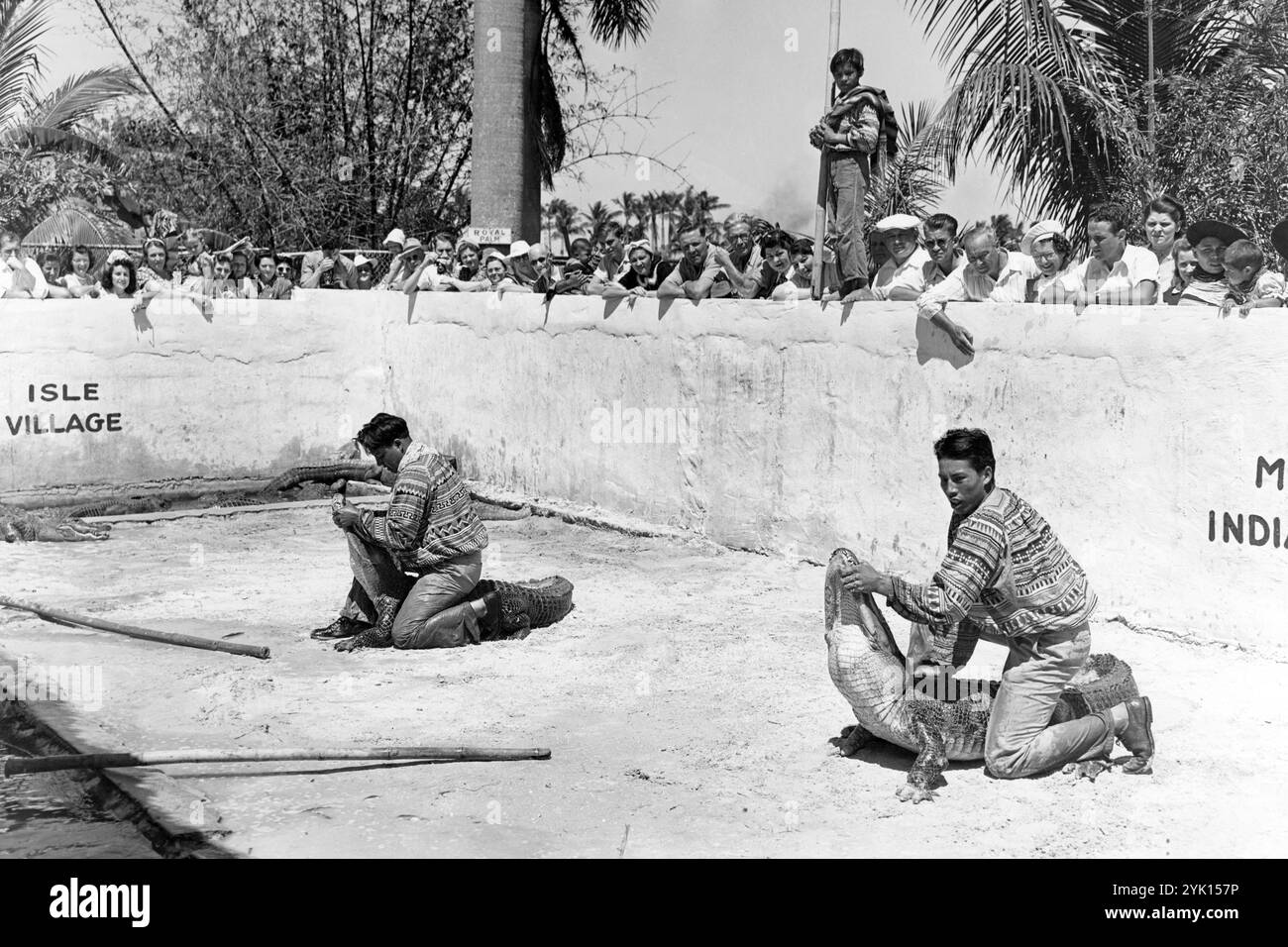 Seminole Indians luttant contre les alligators au Musa Isle Indian Village à Miami, Floride. (ÉTATS-UNIS) Banque D'Images